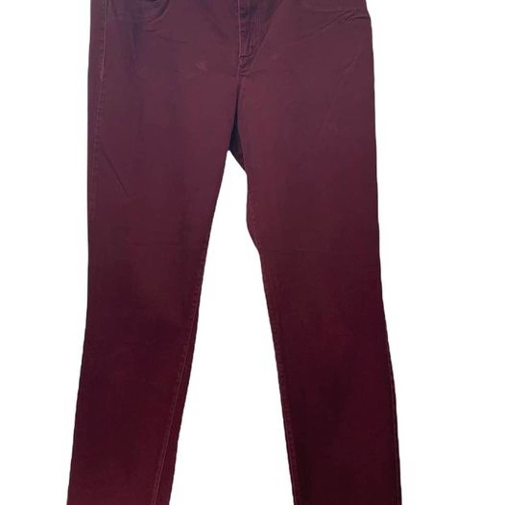 Ann Taylor Burgundy Velvet feel Women’s 12 CURVY Pants